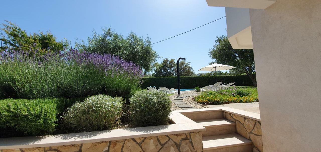 Apartments Sunny Estate Затон Екстер'єр фото